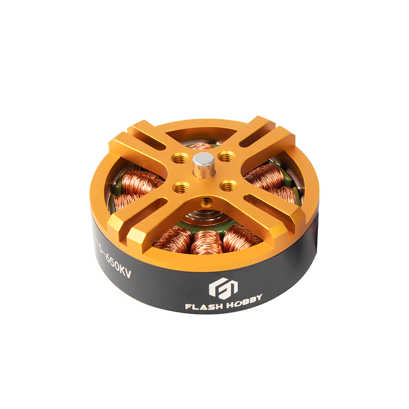 D4215 borstelloze gelijkstroommotor