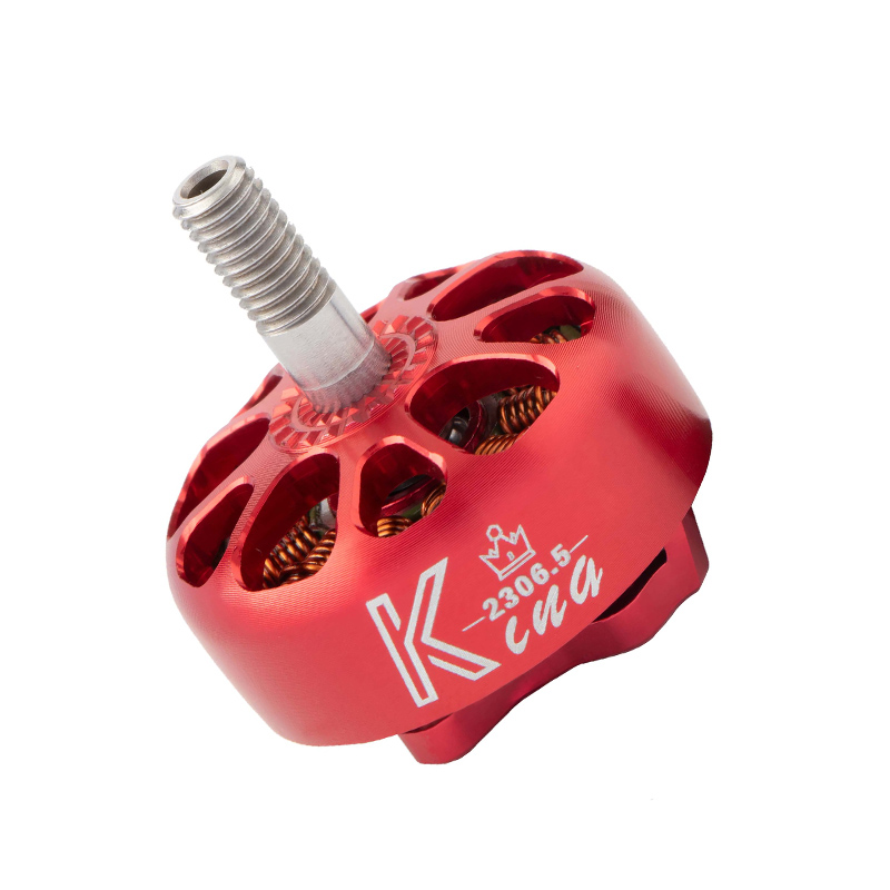 K2306.5 Borstelloze gelijkstroommotor